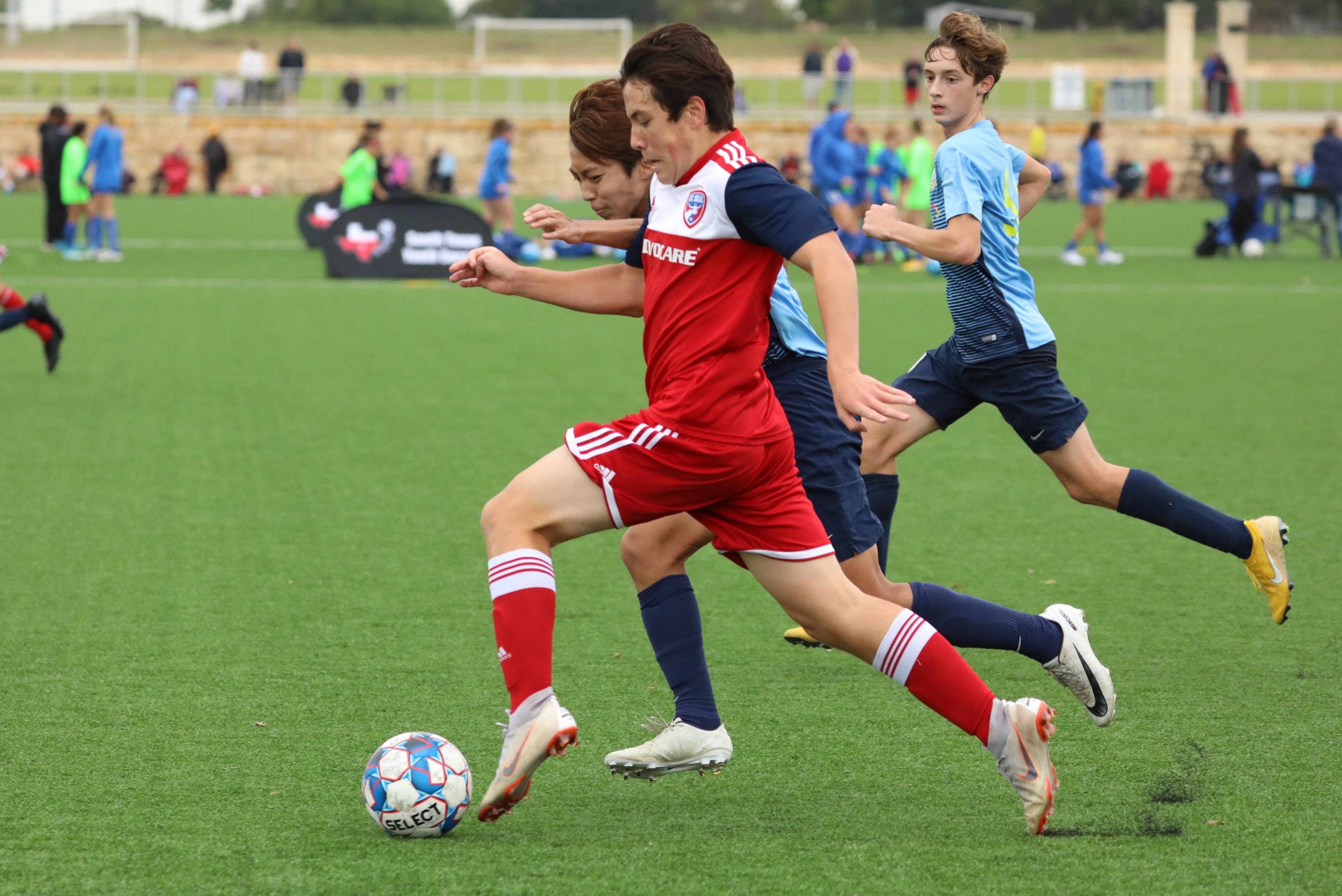 这位那不勒 这位那不勒